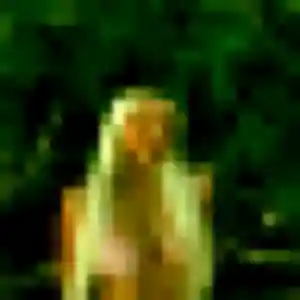 Touria, 44 ans, veut un rencontre coquine à Blancs-Coteaux