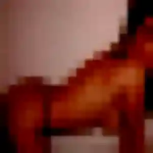 Germaine, 34 ans, en ligne à Charleville-Mézières pour une rencontre coquine
