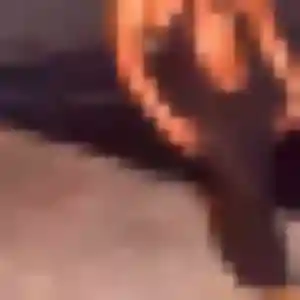 Johanna, 33 ans, cherche un rencontre coquine à Chenôve