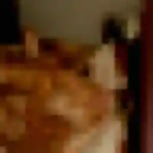 Sexy Magalie, 23 ans à Florange - voir sa photo