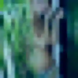 rencontre coquine à Fontaine-lès-Dijon : photo de Caroline, 40 ans - sans engagement