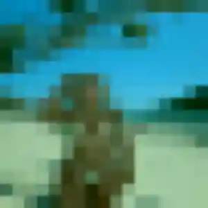 Photo de Lilou à Jarville-la-Malgrange (42 ans) - rencontre coquine gratuit