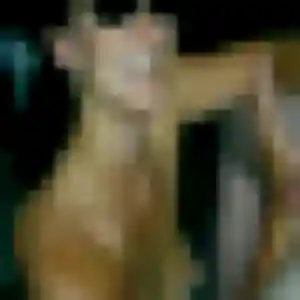 Photo de Hortense à Ligny-en-Barrois (27 ans) - rencontre coquine anonyme