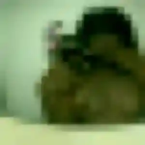 Photo sexy de Anne-Marie, 22 ans à Lons-le-Saunier - plan discret