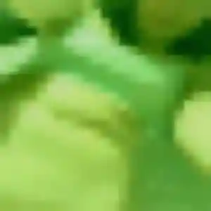 Photo perso de Charlotte, 44 ans à Mertzwiller - rencontre coquine