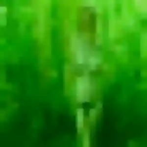 Marie-Louise de Niederbronn-les-Bains, 41 ans - rencontre coquine sans prise de tête