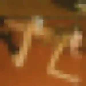 Photo exclusive de Rosalie, 31 ans à Ouroux-sur-Saône - plan discret