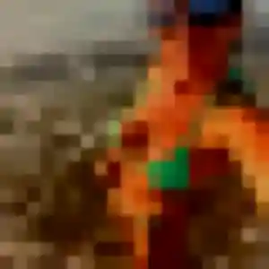 Ameline, 29 ans, disponible à Puttelange-aux-Lacs pour une rencontre coquine