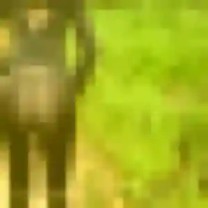 Photo de Marie-Ange à Rixheim (29 ans) - rencontre coquine sans inscription