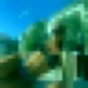 Marine, 29 ans, en ligne à Sanvignes-les-Mines pour une rencontre coquine