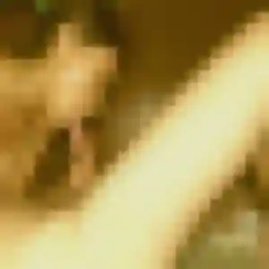 Lou-Anne, fille de 28 ans propose rencontre coquine à Wittenheim